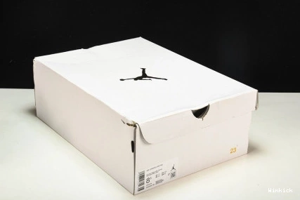 Blank Retro Jordan DQ4909-100 4 Canvas 1117